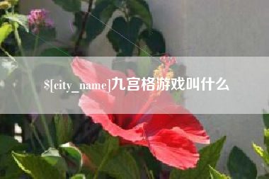 老河口九宫格游戏叫什么
