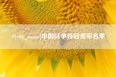 老河口中国队争夺冠亚军名单
