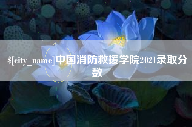 老河口中国消防救援学院2021录取分数