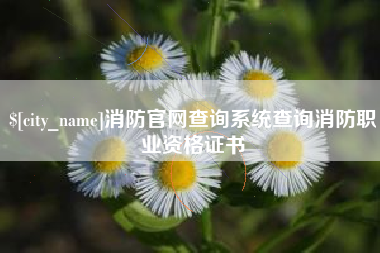 老河口消防官网查询系统查询消防职业资格证书