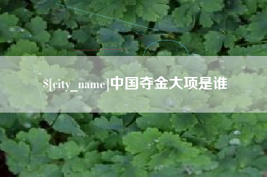 老河口中国夺金大项是谁