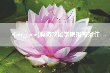 老河口消防救援学院报考条件