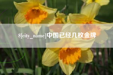 老河口中国已经几枚金牌