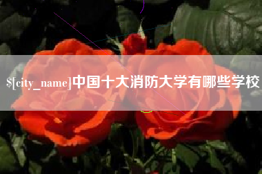 老河口中国十大消防大学有哪些学校