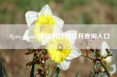 老河口中国执行网公开查询入口