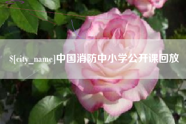 老河口中国消防中小学公开课回放