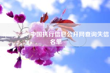 老河口中国执行信息公开网查询失信名单