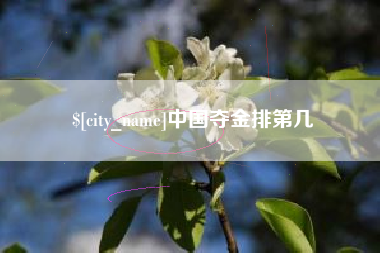 老河口中国夺金排第几