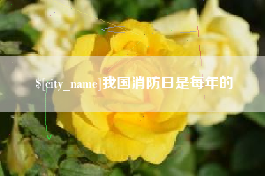 老河口我国消防日是每年的