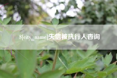老河口失信被执行人杳询