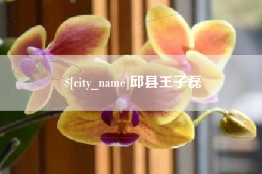 老河口邱县王子磊