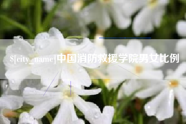 老河口中国消防救援学院男女比例