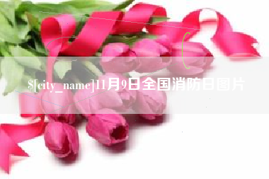 老河口11月9日全国消防日图片