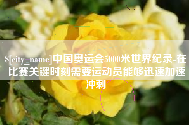 老河口中国奥运会5000米世界纪录-在比赛关键时刻需要运动员能够迅速加速冲刺