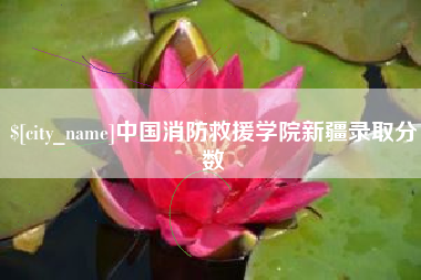 老河口中国消防救援学院新疆录取分数