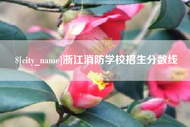 老河口浙江消防学校招生分数线