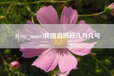 老河口我国消防日几月几号