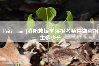 老河口消防救援学院报考条件湖南招生多少分