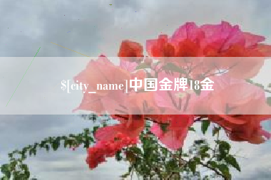 老河口中国金牌18金