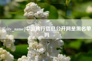 老河口中国执行信息公开网是黑名单吗