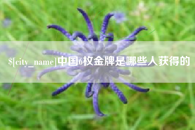 老河口中国6枚金牌是哪些人获得的