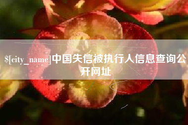 老河口中国失信被执行人信息查询公开网址