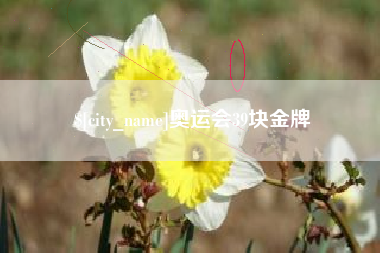 老河口奥运会39块金牌