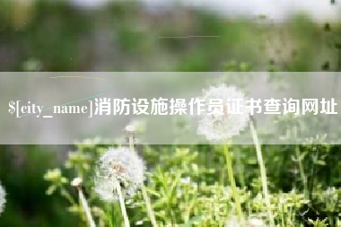 老河口消防设施操作员证书查询网址