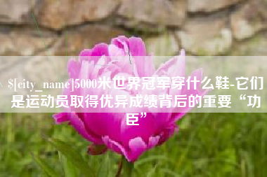 老河口5000米世界冠军穿什么鞋-它们是运动员取得优异成绩背后的重要“功臣”