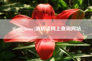 老河口消防证网上查询网站