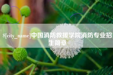 老河口中国消防救援学院消防专业招生简章