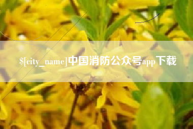 老河口中国消防公众号app下载