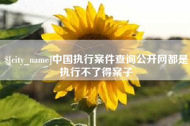 老河口中国执行案件查询公开网都是执行不了得案子