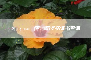 老河口查消防资格证书查询