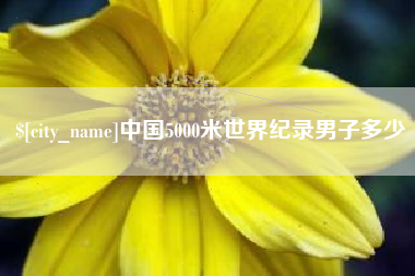 老河口中国5000米世界纪录男子多少