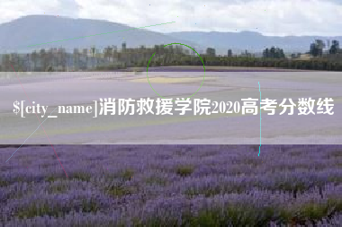 老河口消防救援学院2020高考分数线