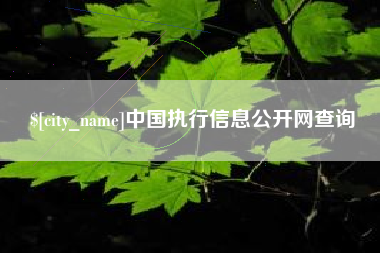 老河口中国执行信息公开网查询