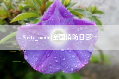 老河口全国消防日哪一