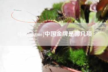 老河口中国金牌是哪几项
