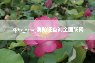 老河口消防证查询全国联网
