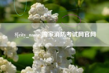 老河口国家消防考试网官网