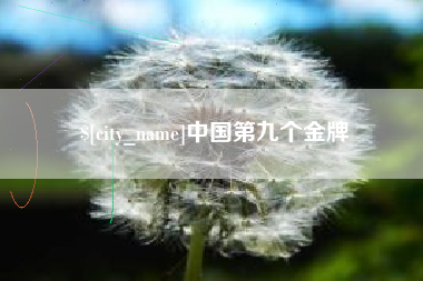 老河口中国第九个金牌