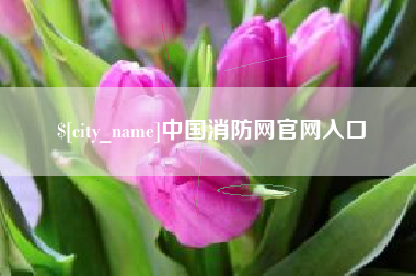老河口中国消防网官网入口