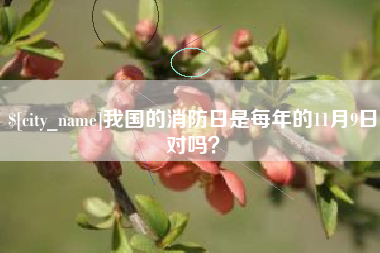 老河口我国的消防日是每年的11月9日对吗？