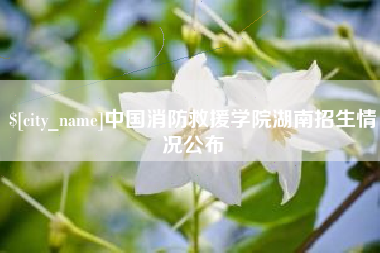 老河口中国消防救援学院湖南招生情况公布