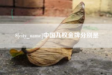 老河口中国九枚金牌分别是