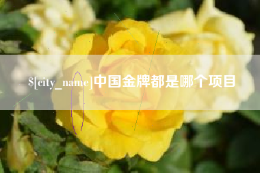 老河口中国金牌都是哪个项目
