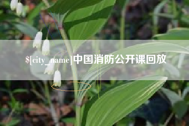 老河口中国消防公开课回放