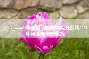 老河口中国消防救援学院分数线2023年河北录取分数线