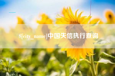 老河口中国失信执行查询